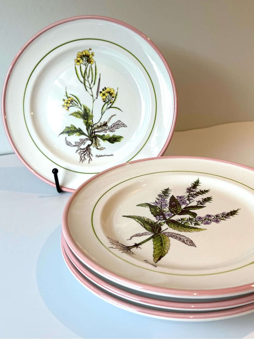 Vintage La Primula Italian Hand-Painted Botanical 8" Plates Pink Rim Set of 4